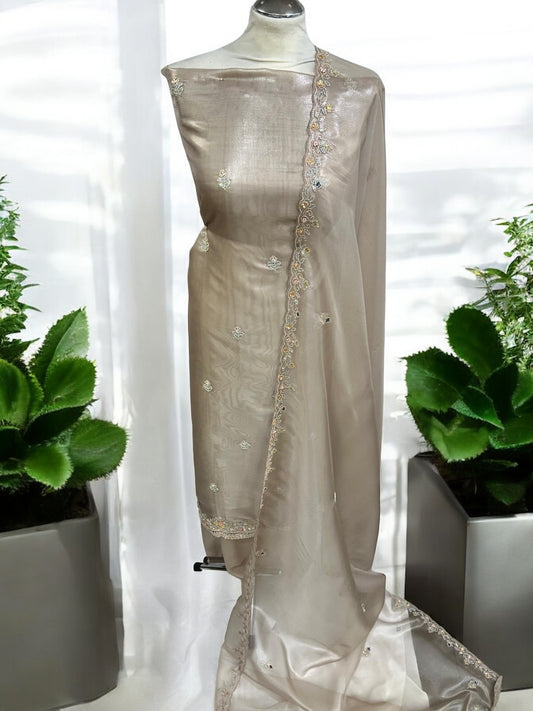 Shimmer Organza - Nude Suit